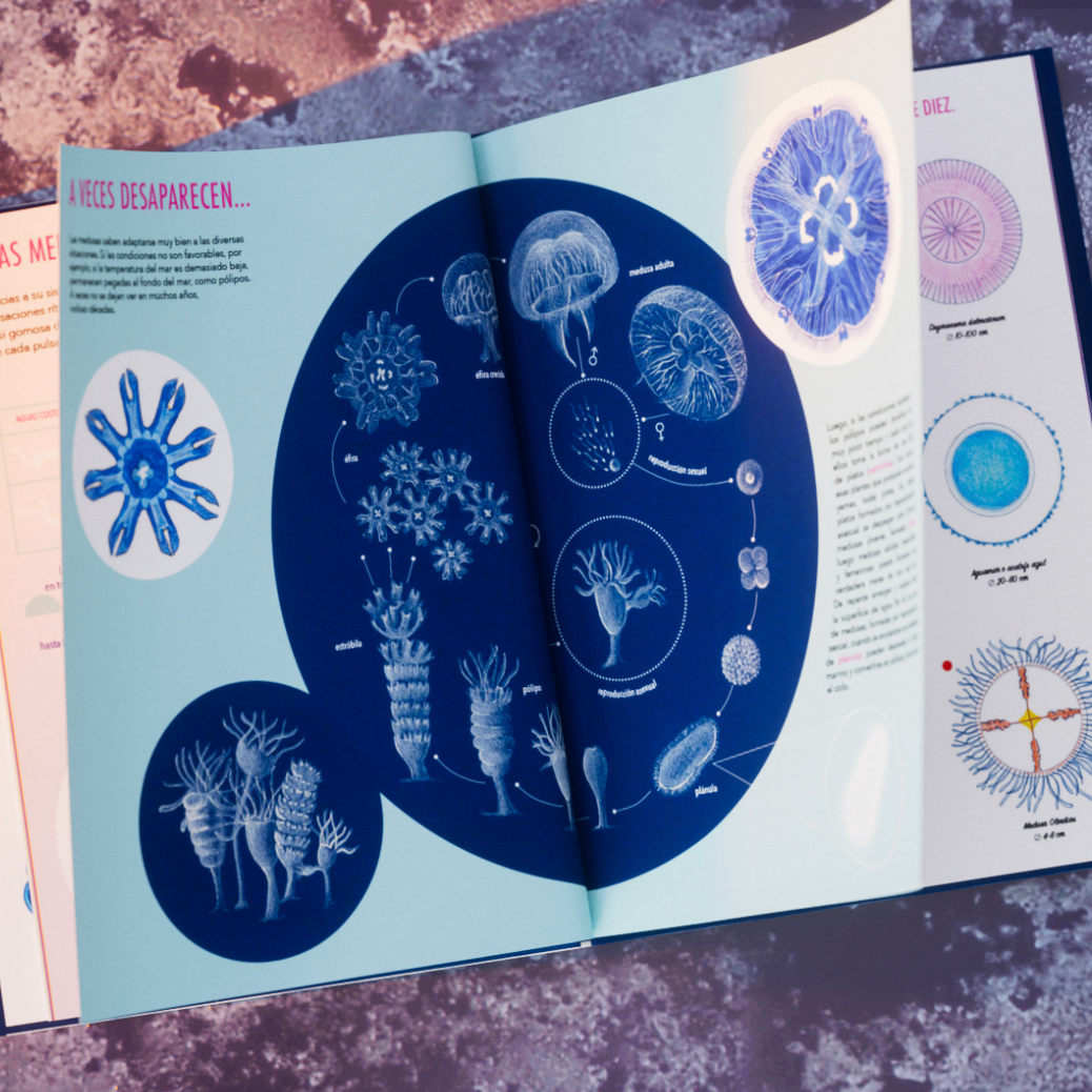 El jardín de las medusas