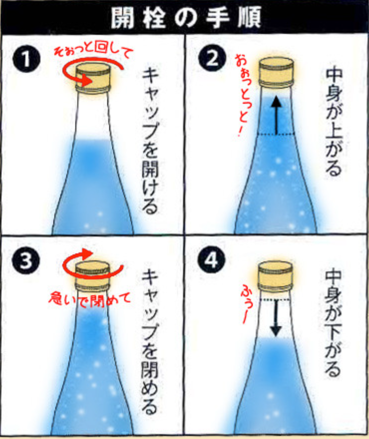 Shirakawago Awa-Nigori Sake espumoso