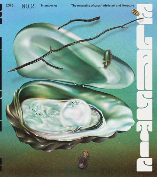 Elastic #2