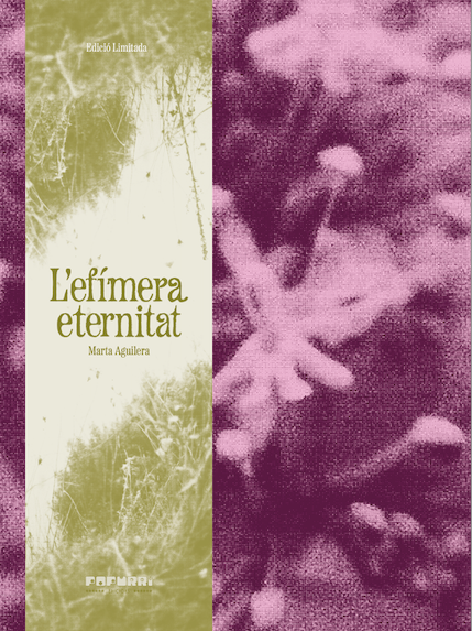 L'efímera eternitat - Marta Aguilera
