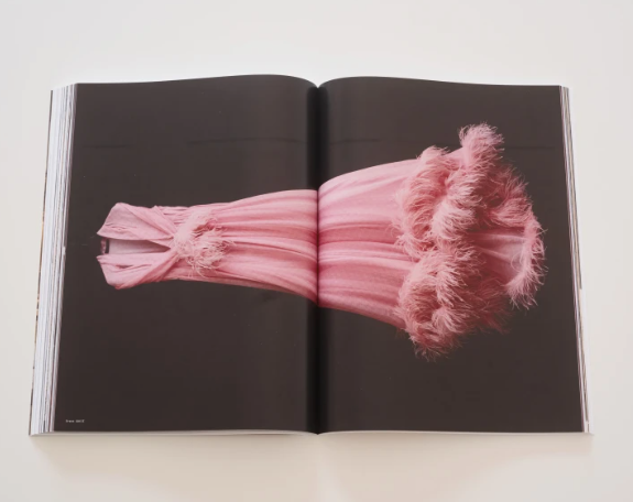 Anima #4