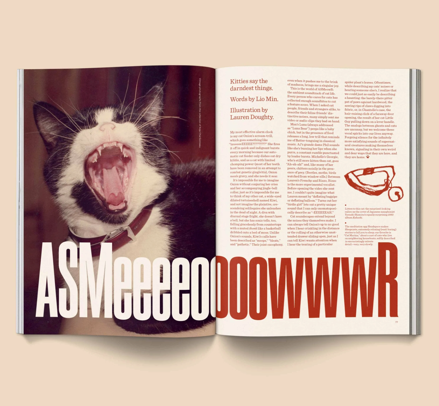 Catnip - Un magazine pour les amateurs de chats