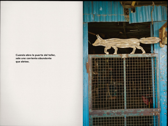 El taller de las garzas - Jordi Oms