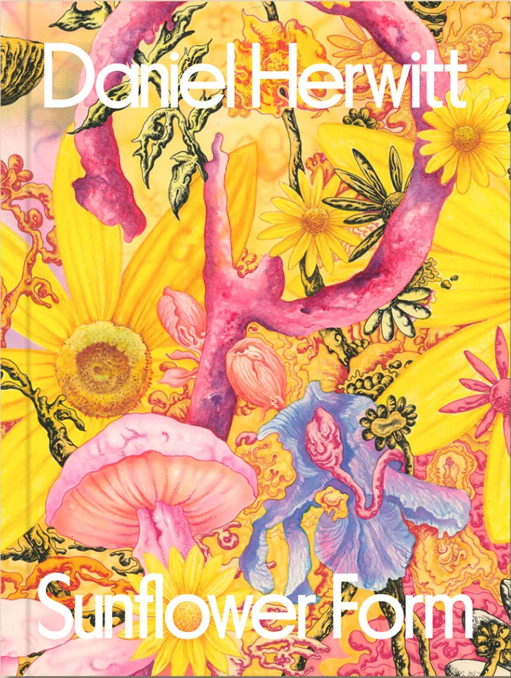 Daniel Herwitt: Sunflower Form Art Book