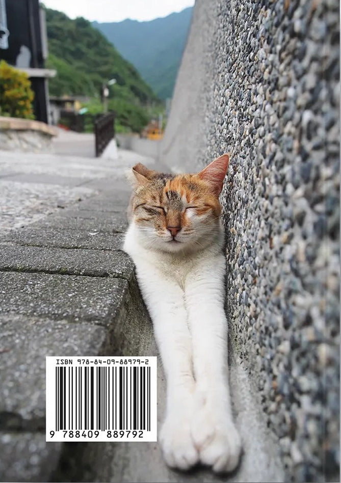 Cats: Masters of Sleep