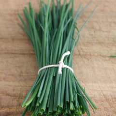 Semillas Cebollino