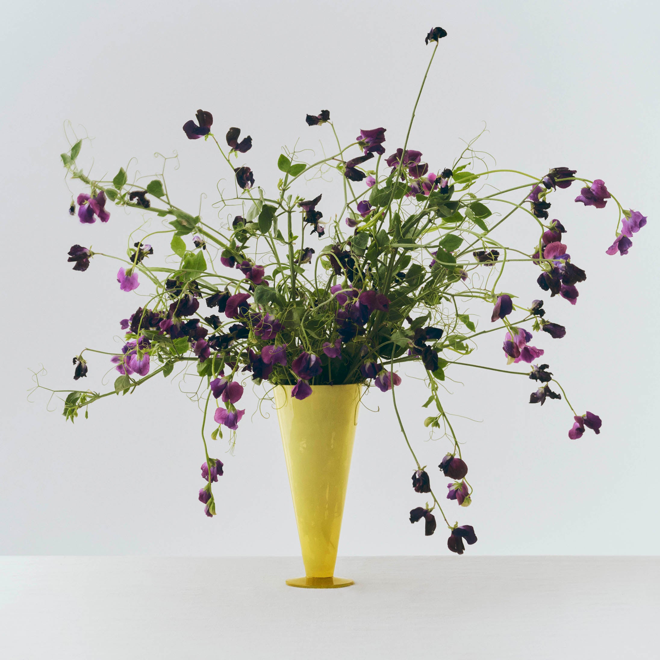 Jarrón Conical Large - HAY