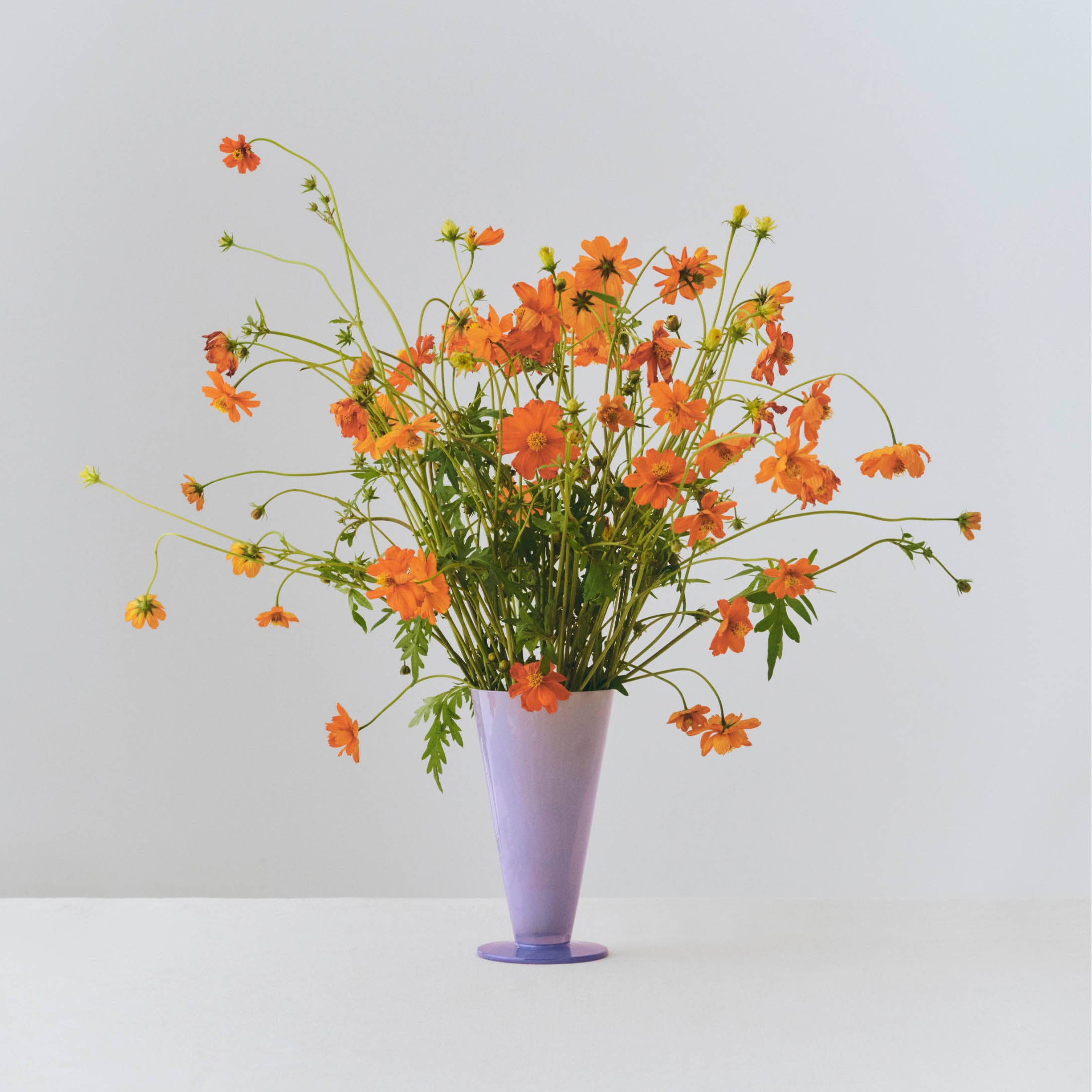 Jarrón Conical Small - HAY