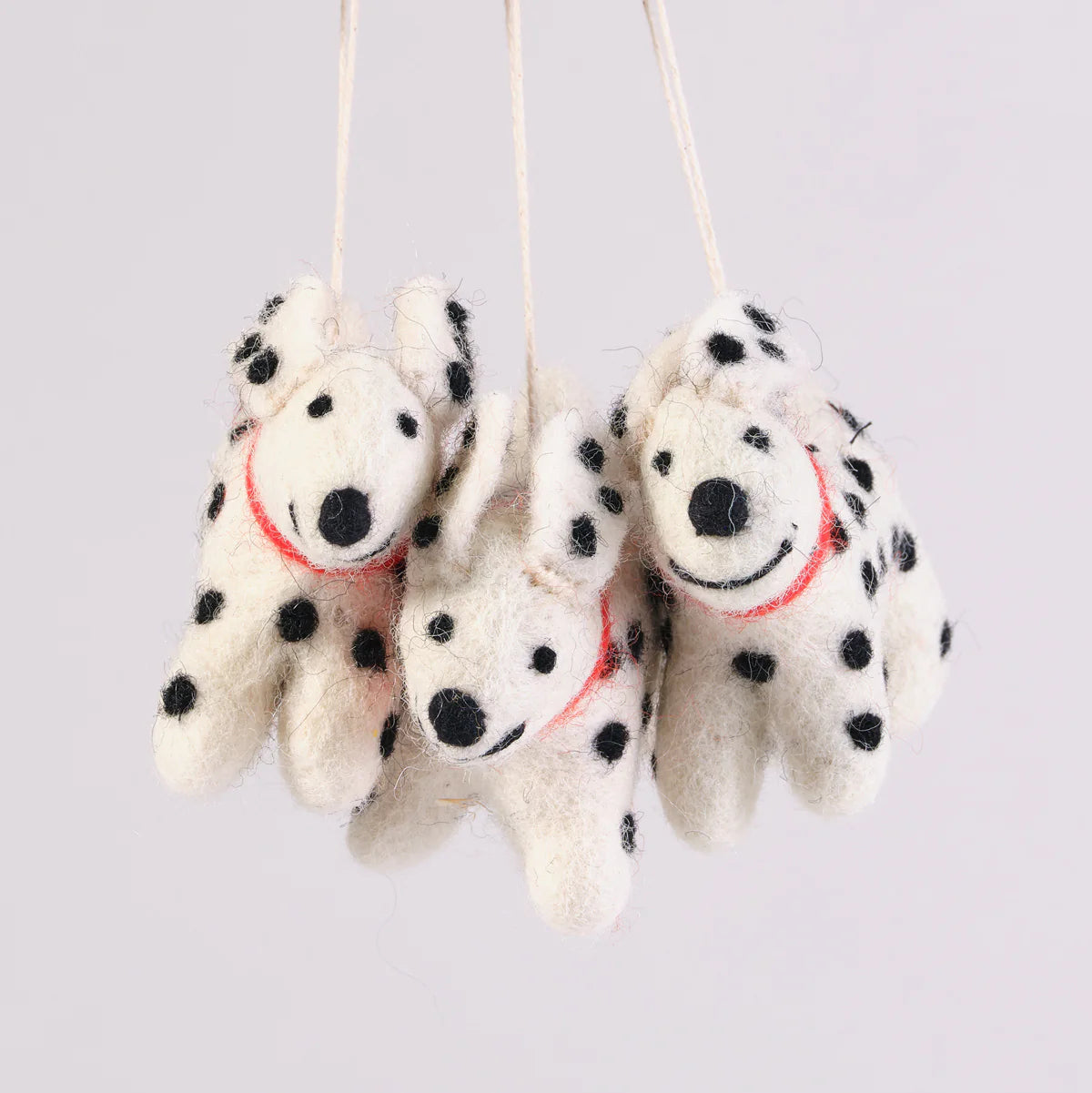 Adorno Perro Eric Spotty