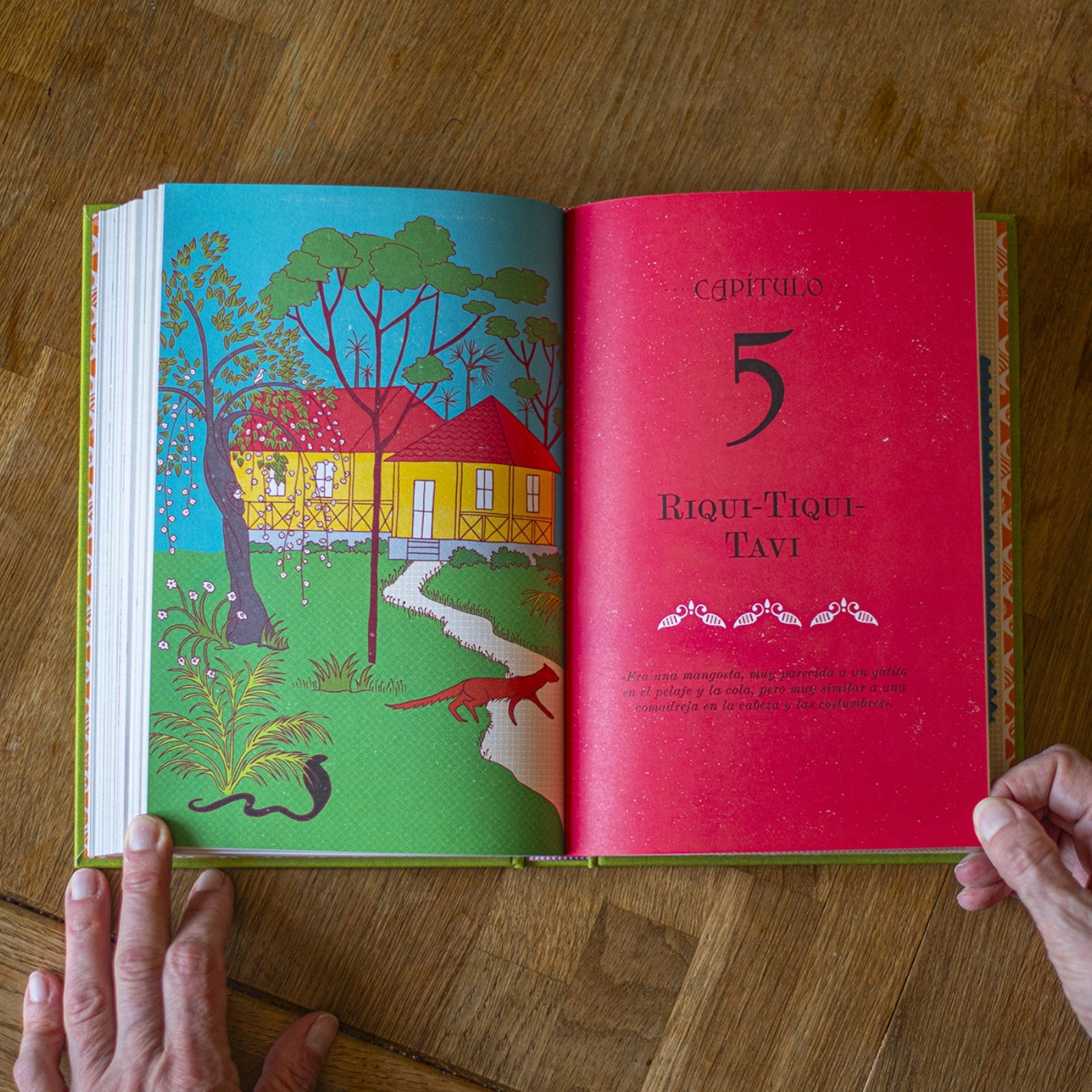 El Libro de la Jungla