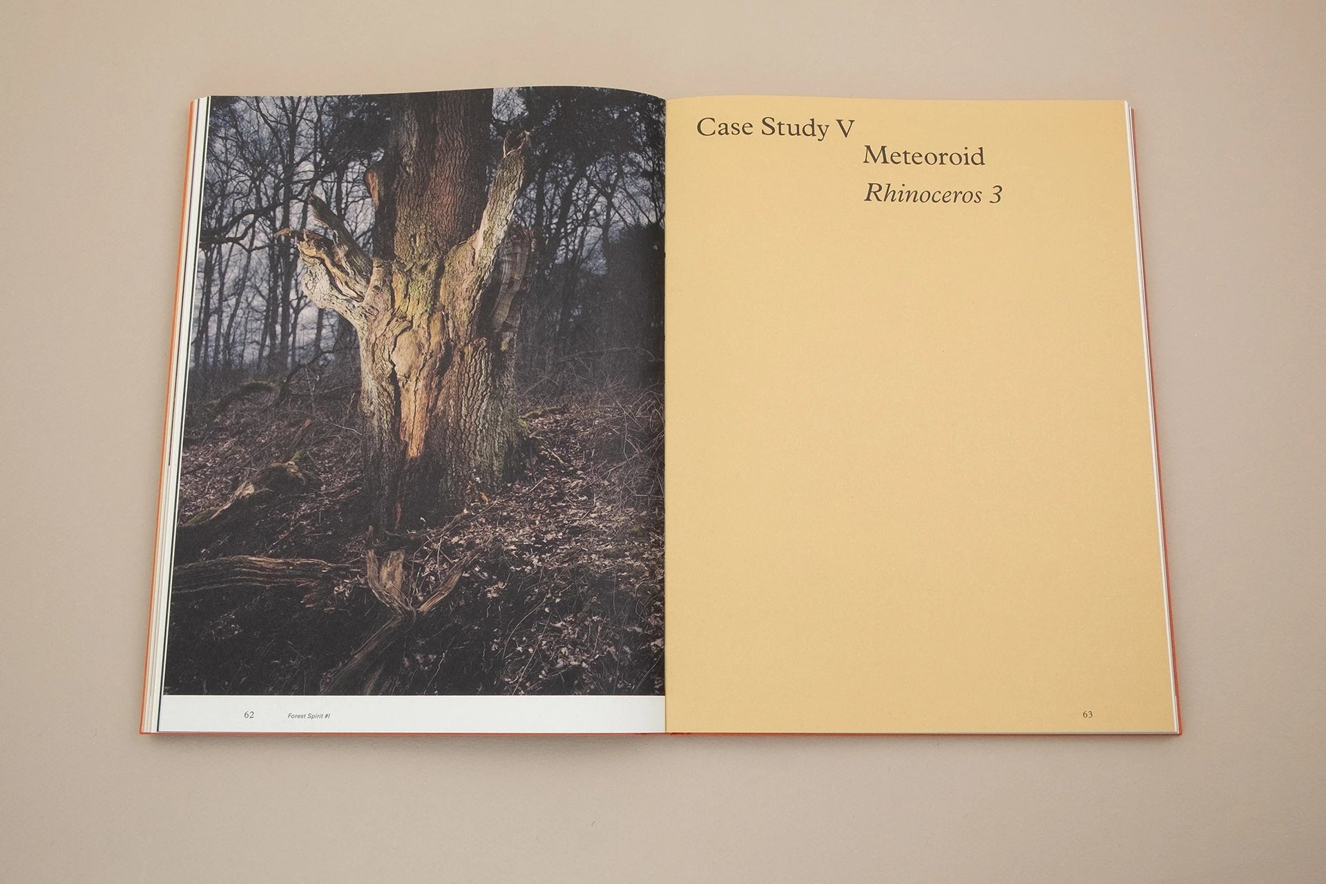 Floating Signifiers - Daan Paans