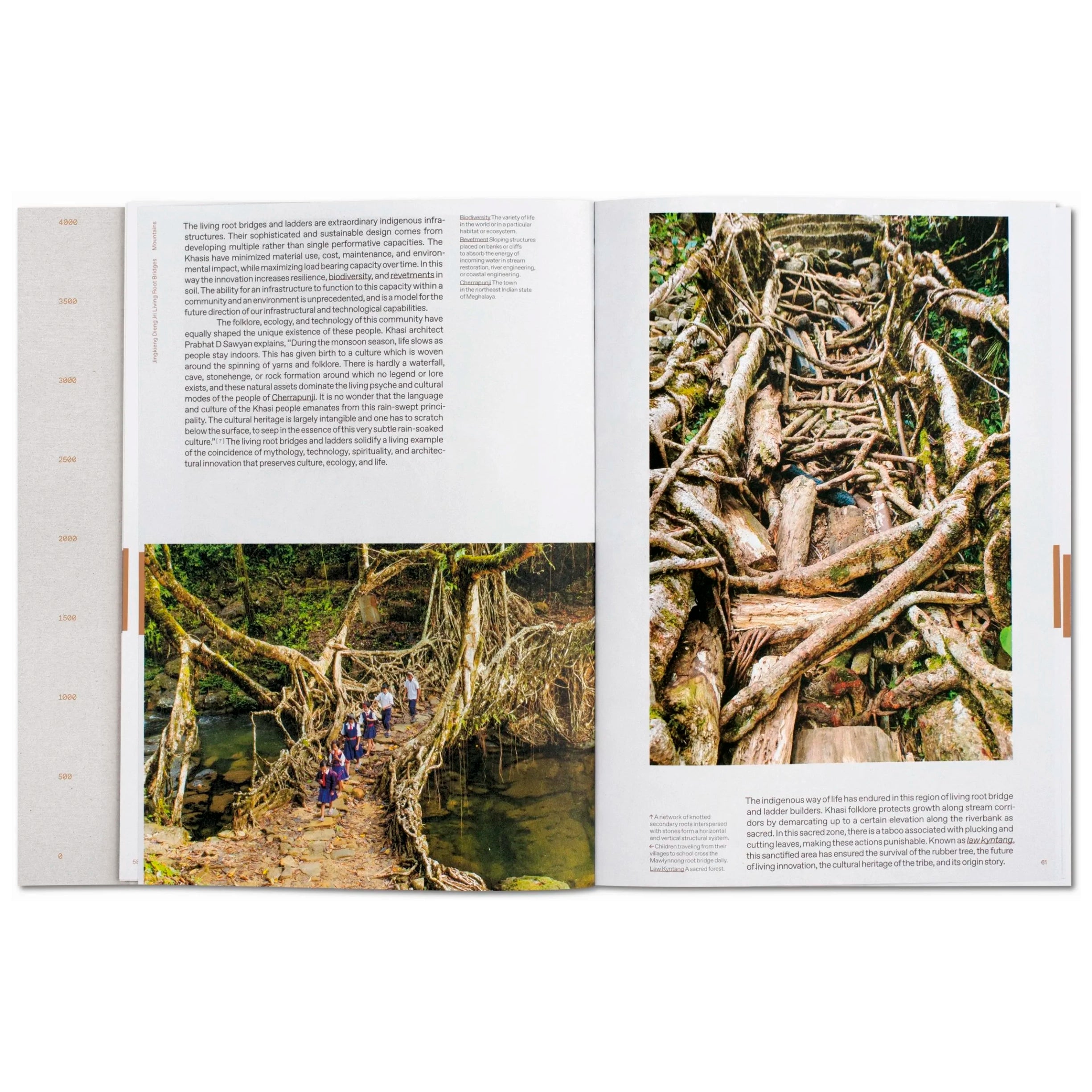 Lo—TEK. Design by Radical Indigenism