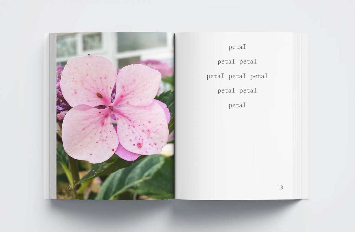 Flower Therapy - Jose Porroche