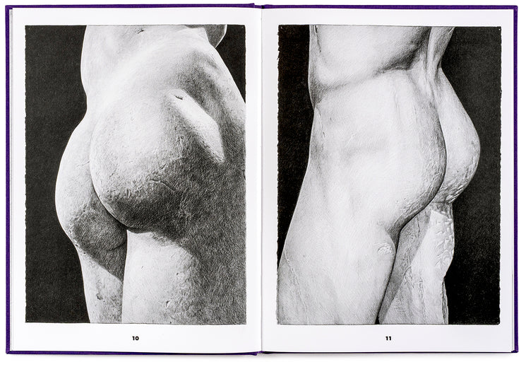 Great Ass at The Met - Karl Haendel