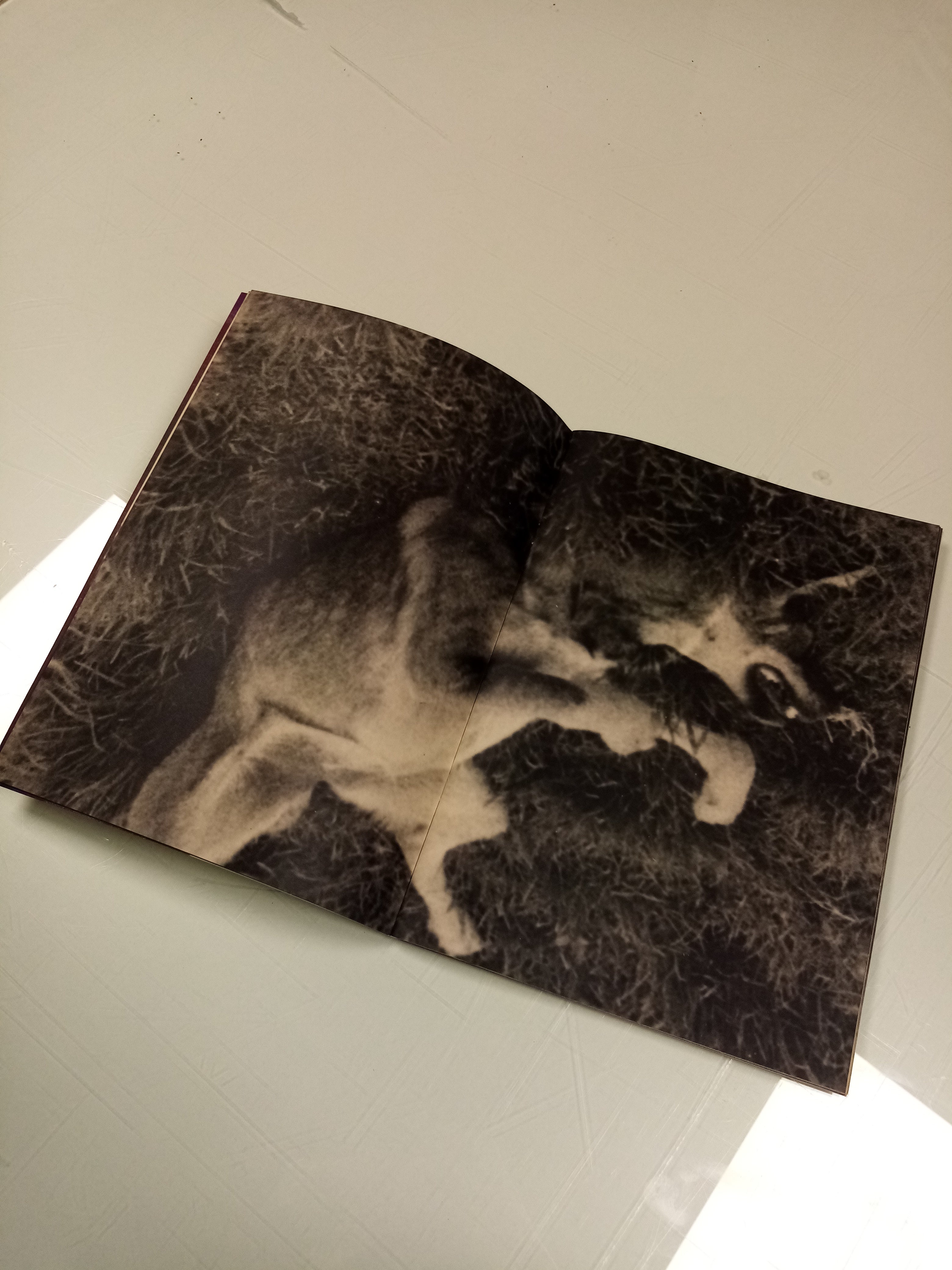 From then on - Paula Tudela 