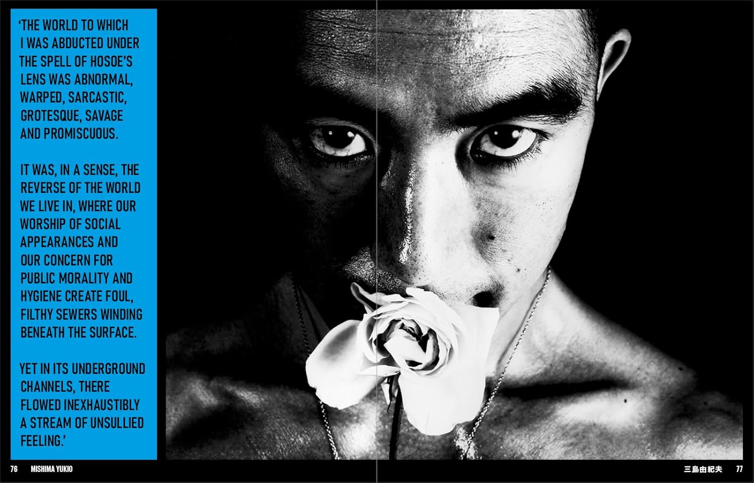 Japan Art Revolution