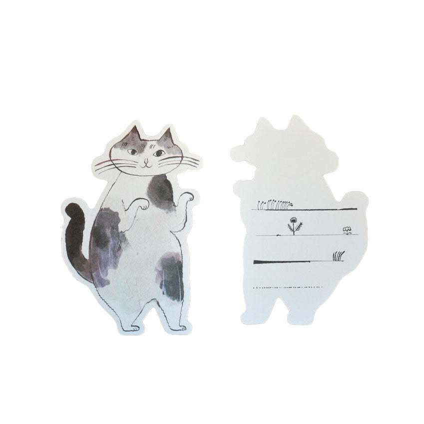 Tarjeta de mensaje - gato