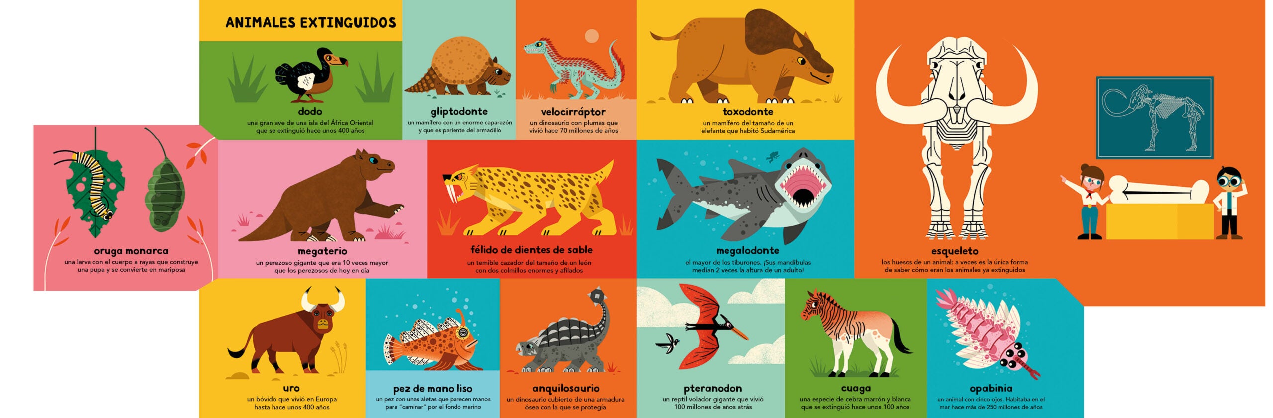 Mi primer libro de animales - Ben Newman