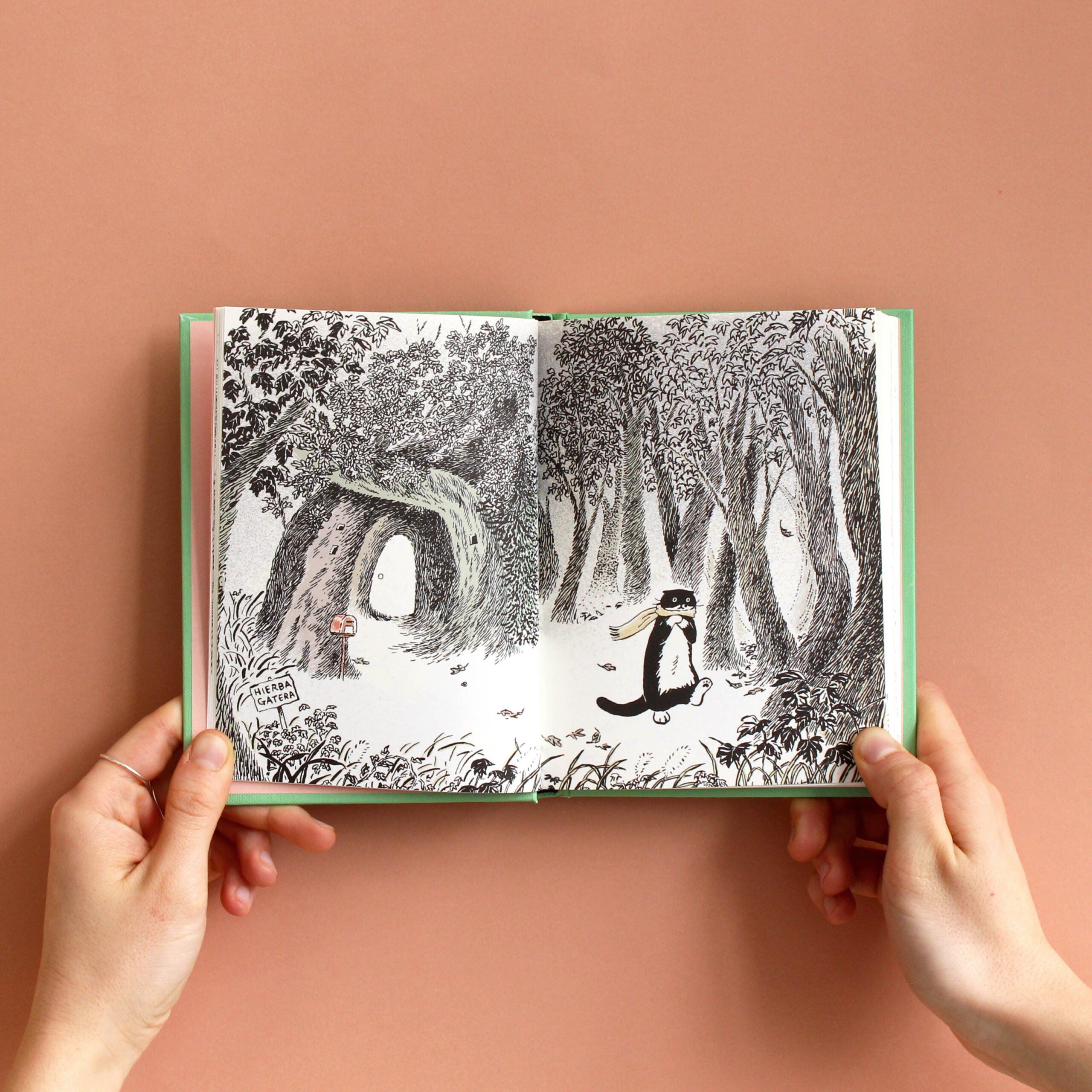 La Historia de Mo - Yeonju Choi