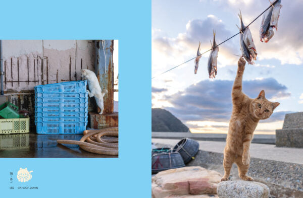 Neko. Cats of Japan