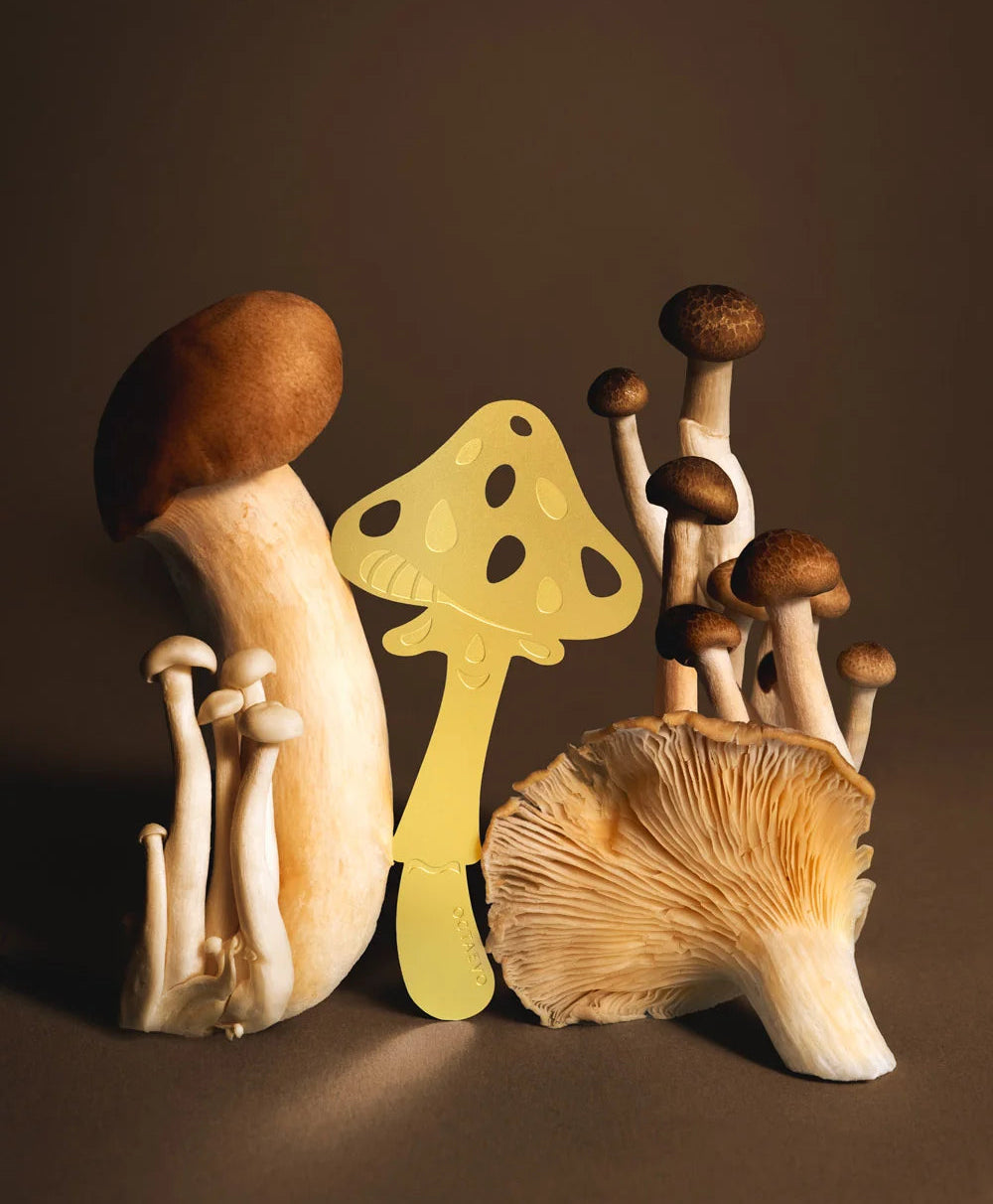 Marcapáginas Mushroom