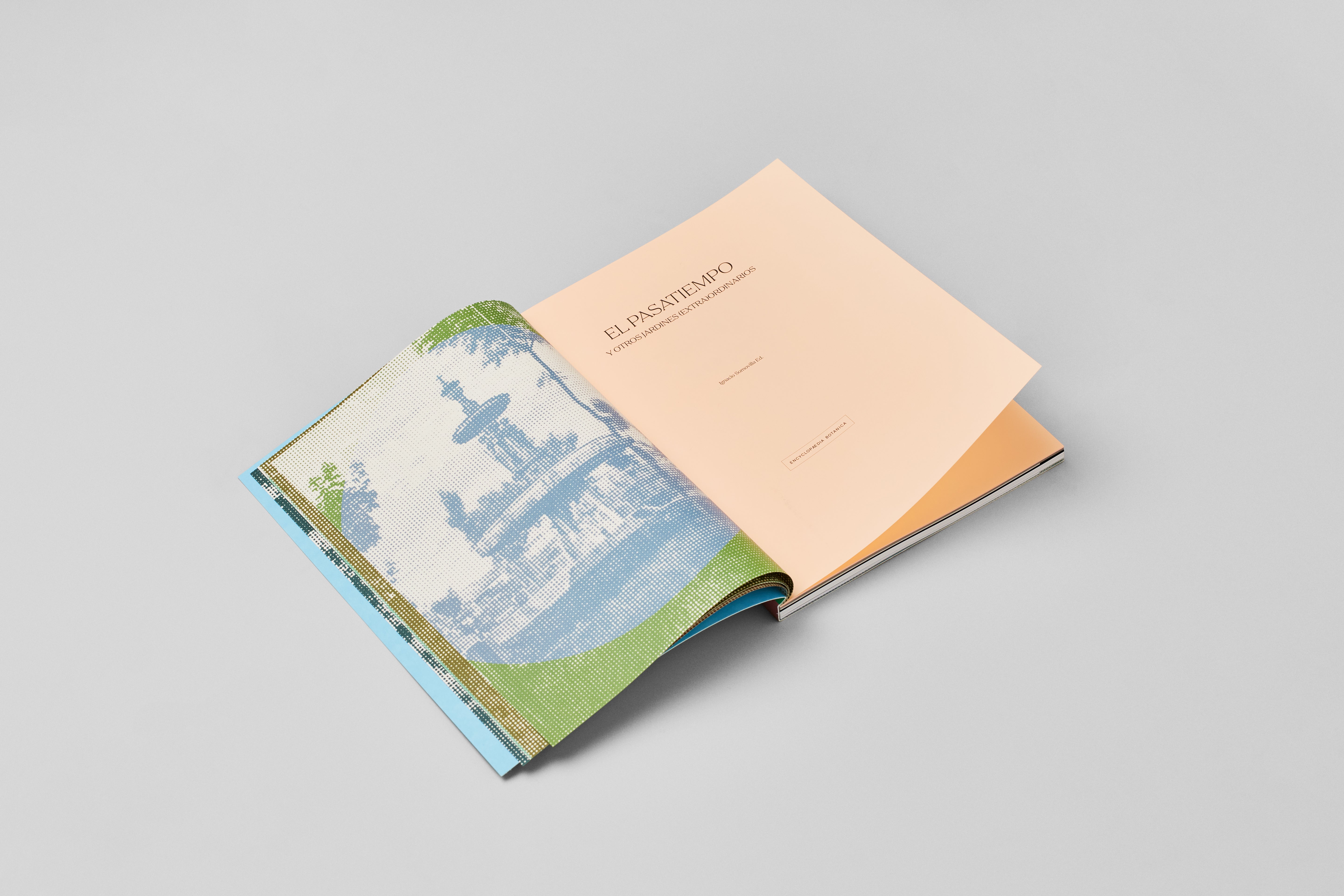 El Pasatiempo and other (extra)ordinary gardens.