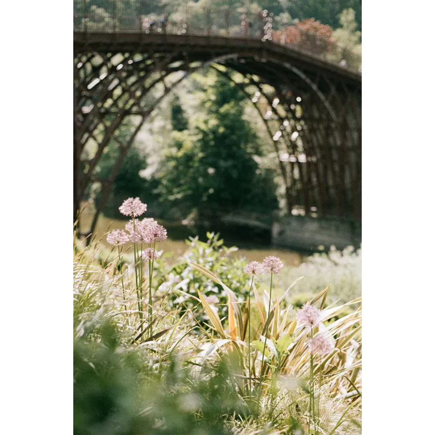 Flic Film Psychedelic Street 400 - 35 mm