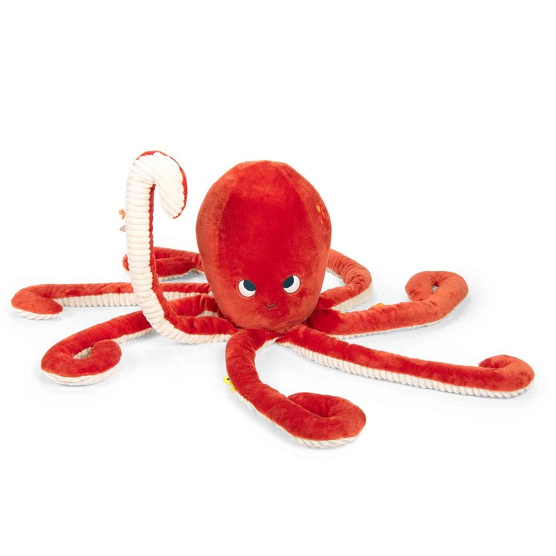 Paulie Octopus Plush 