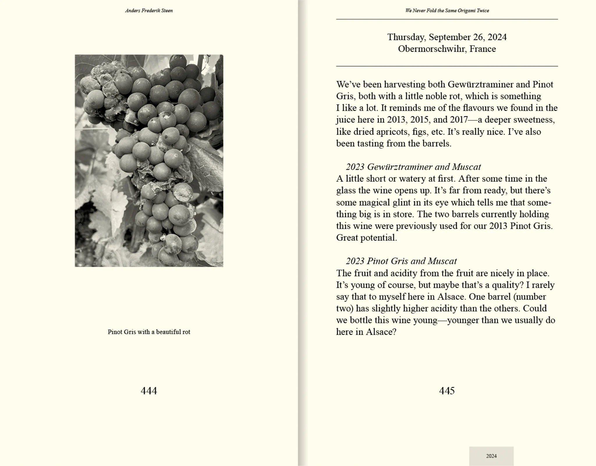 We Never Fold the Same Origami Twice, Anders Frederik Steen (Vol. II)