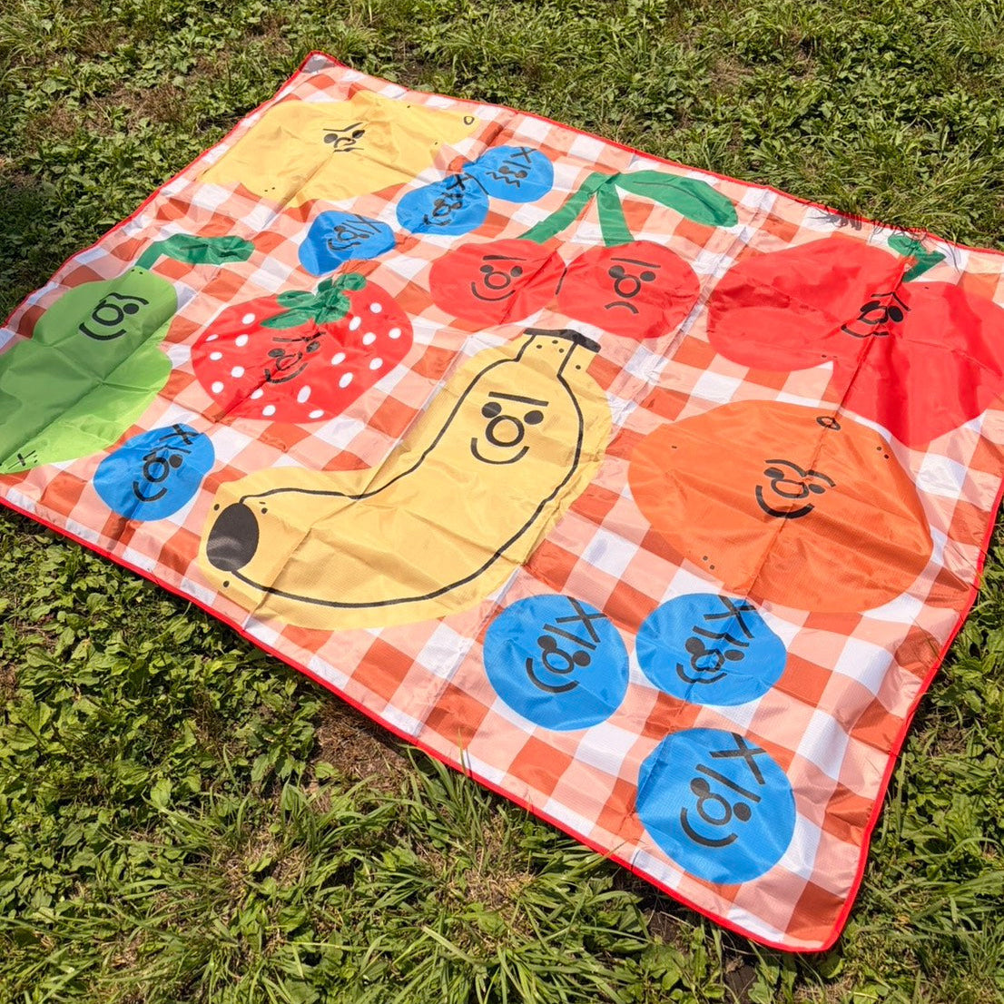 Manta de picnic - Tess Smith-Roberts