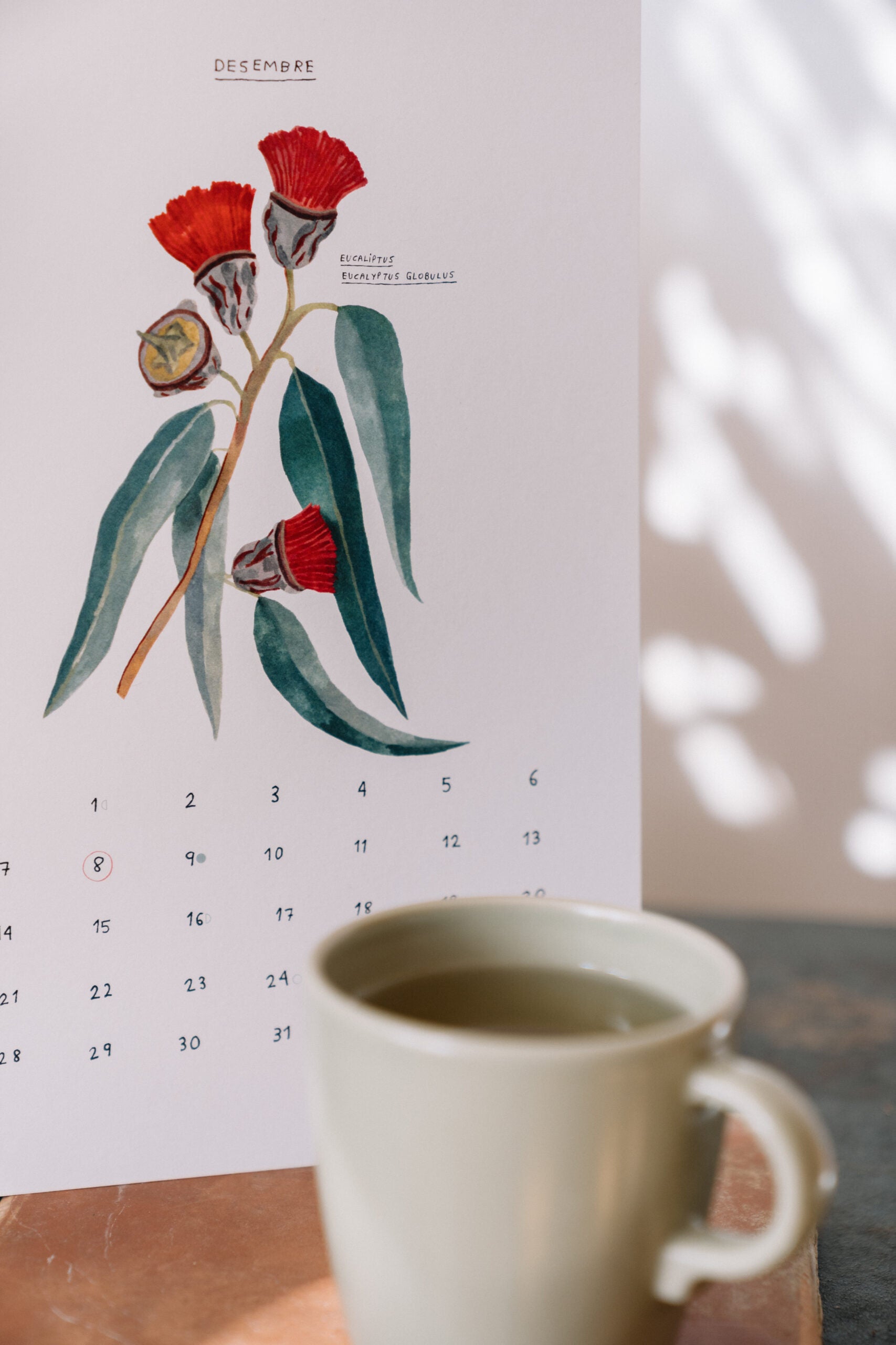 Botanical calendar 2024 Gala Pont