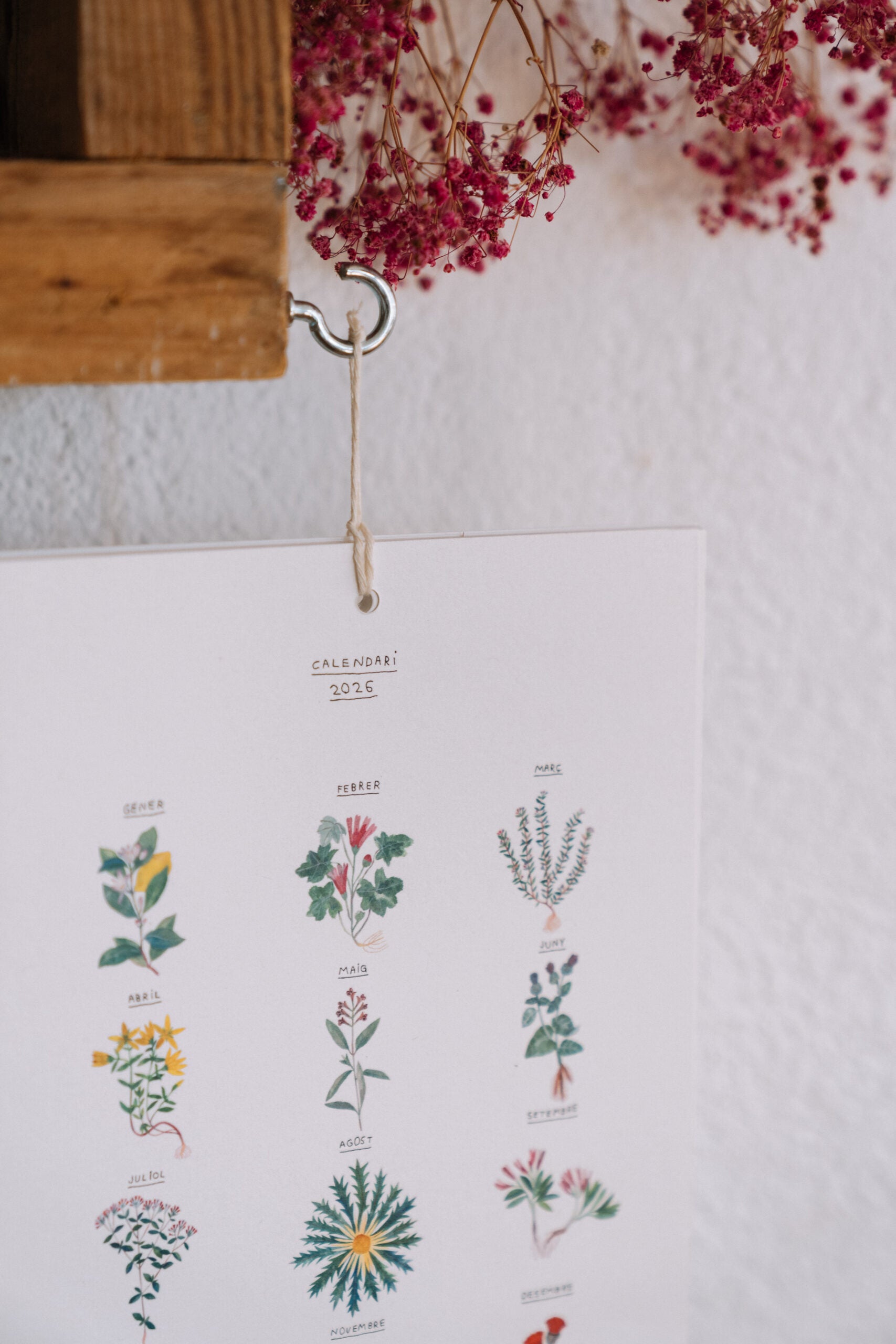 Botanical calendar 2024 Gala Pont