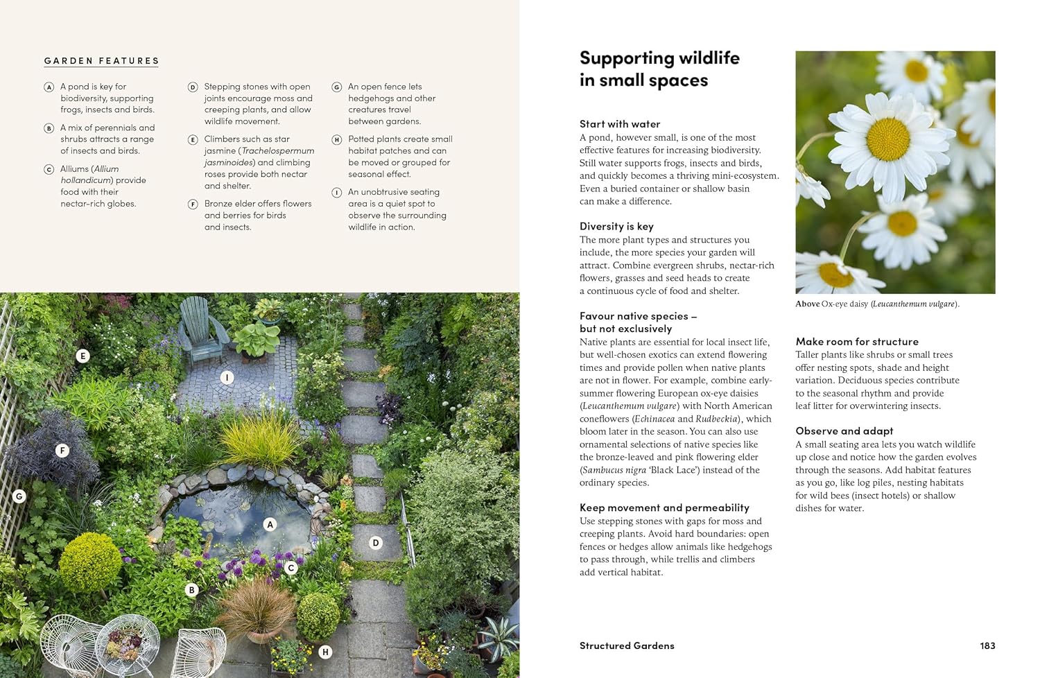 Small Garden Envy