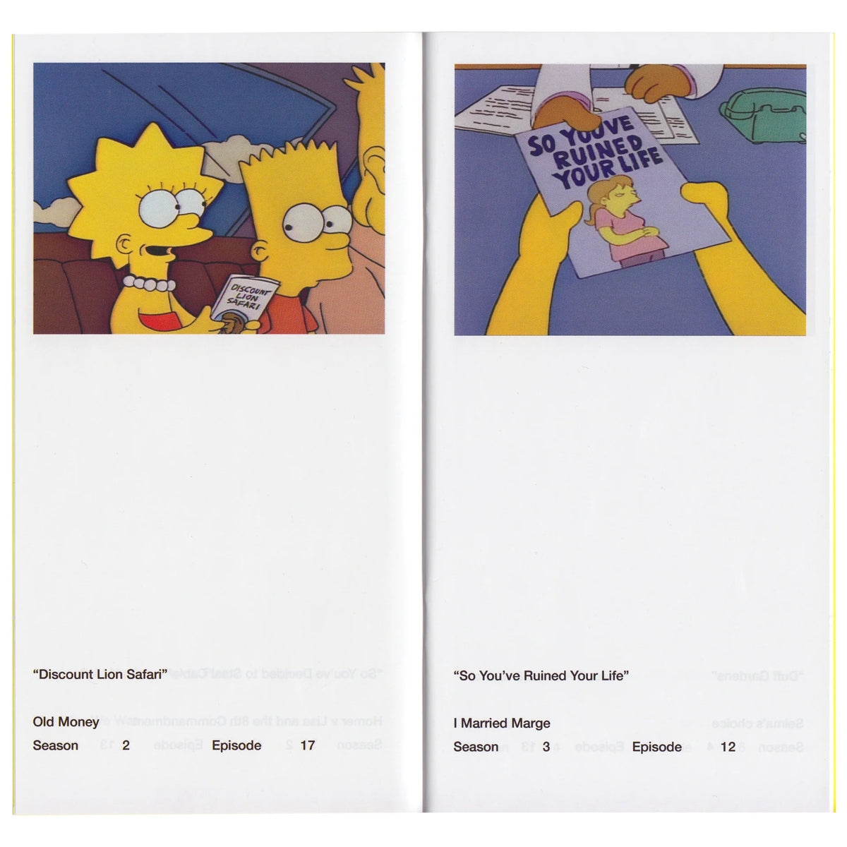 So You've Purchased A Simpsons Pamphlet Zine