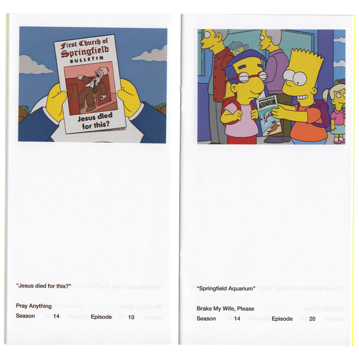 So You've Purchased A Simpsons Pamphlet Zine