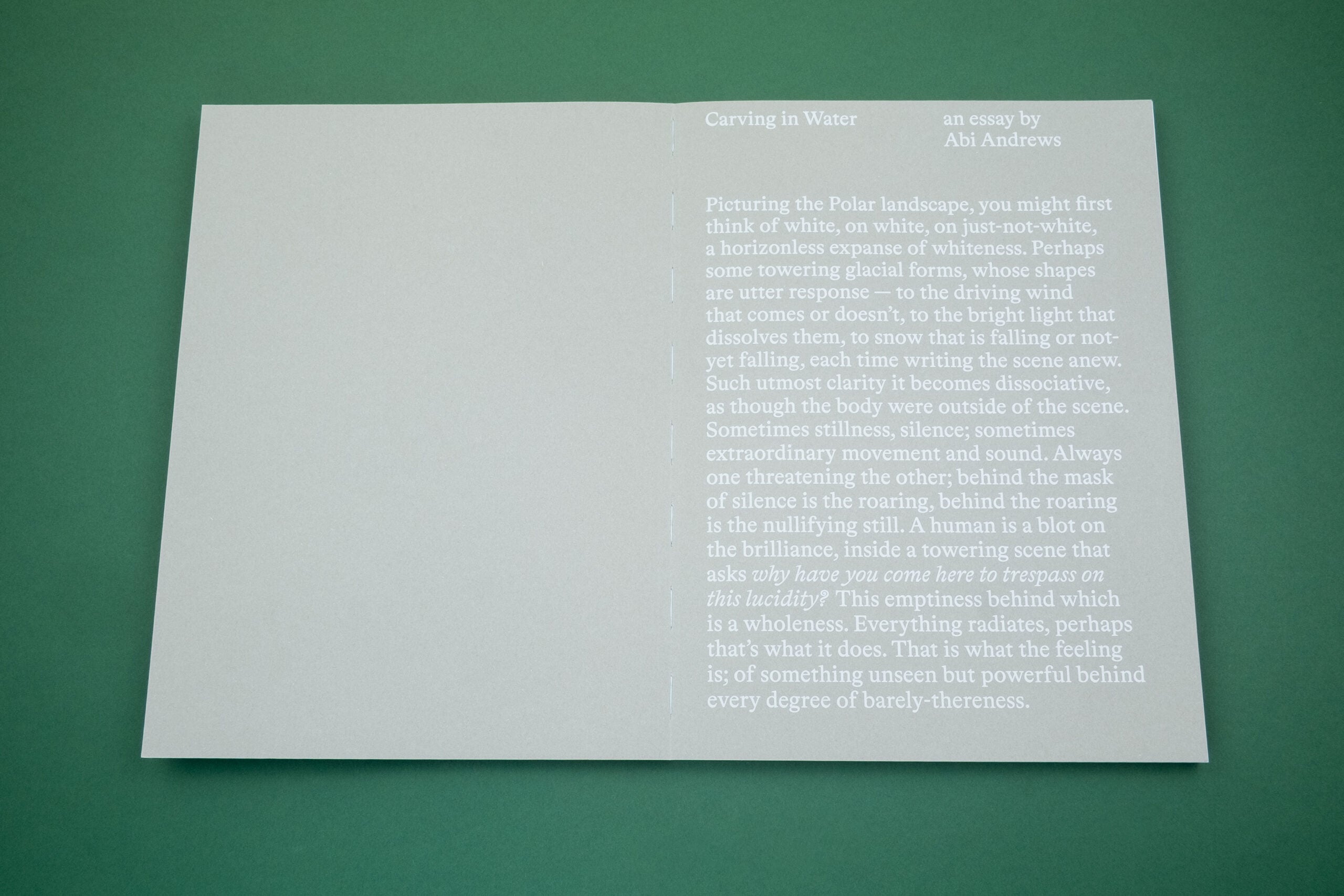 Only Barely Stil. Women and Wilderness -  Catherine Lemblé