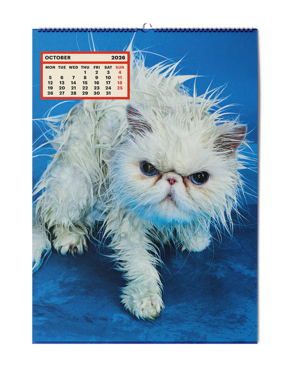 Calendario 2026 Toiletpaper