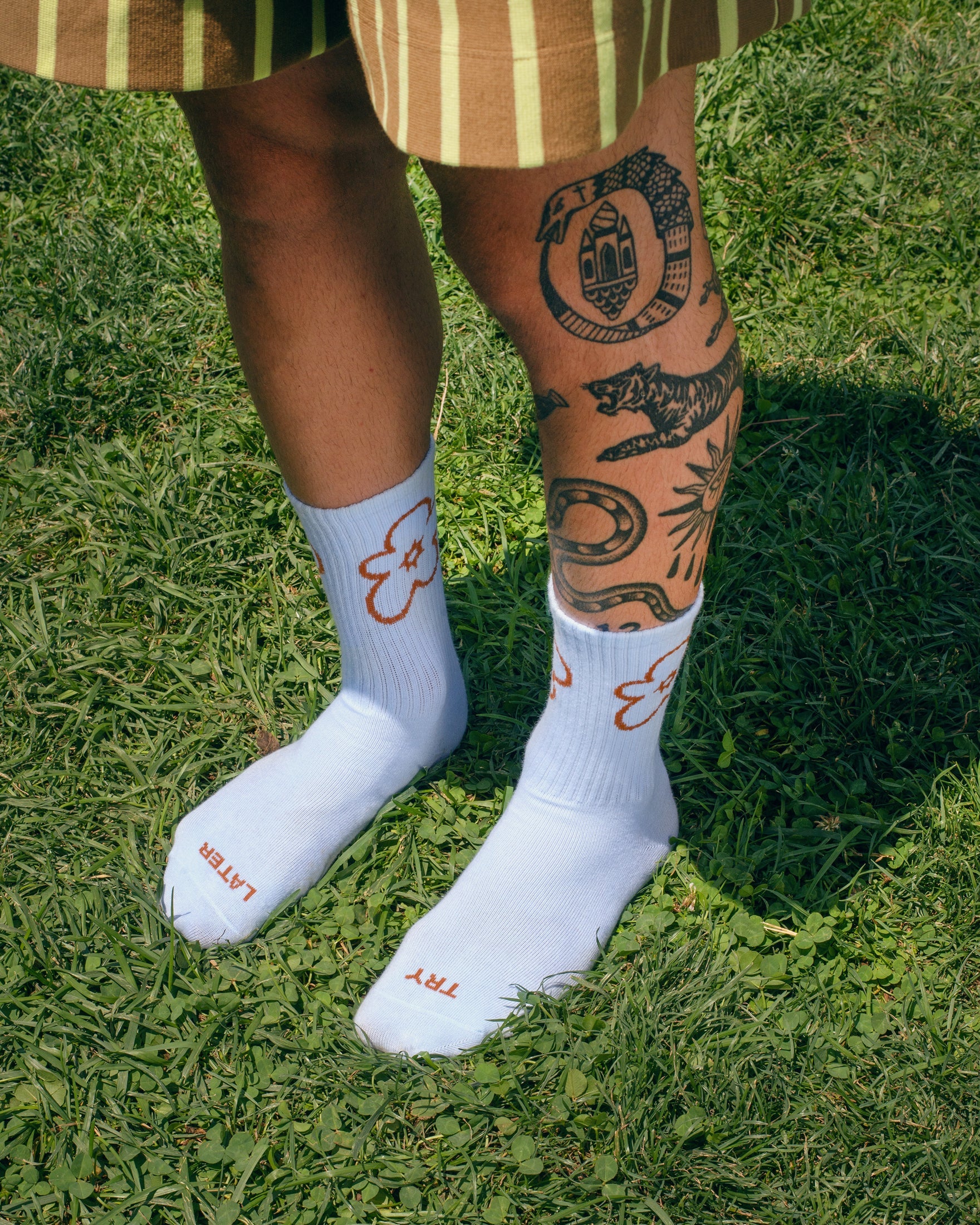 Calcetines Try Later - Tarta Gelatina