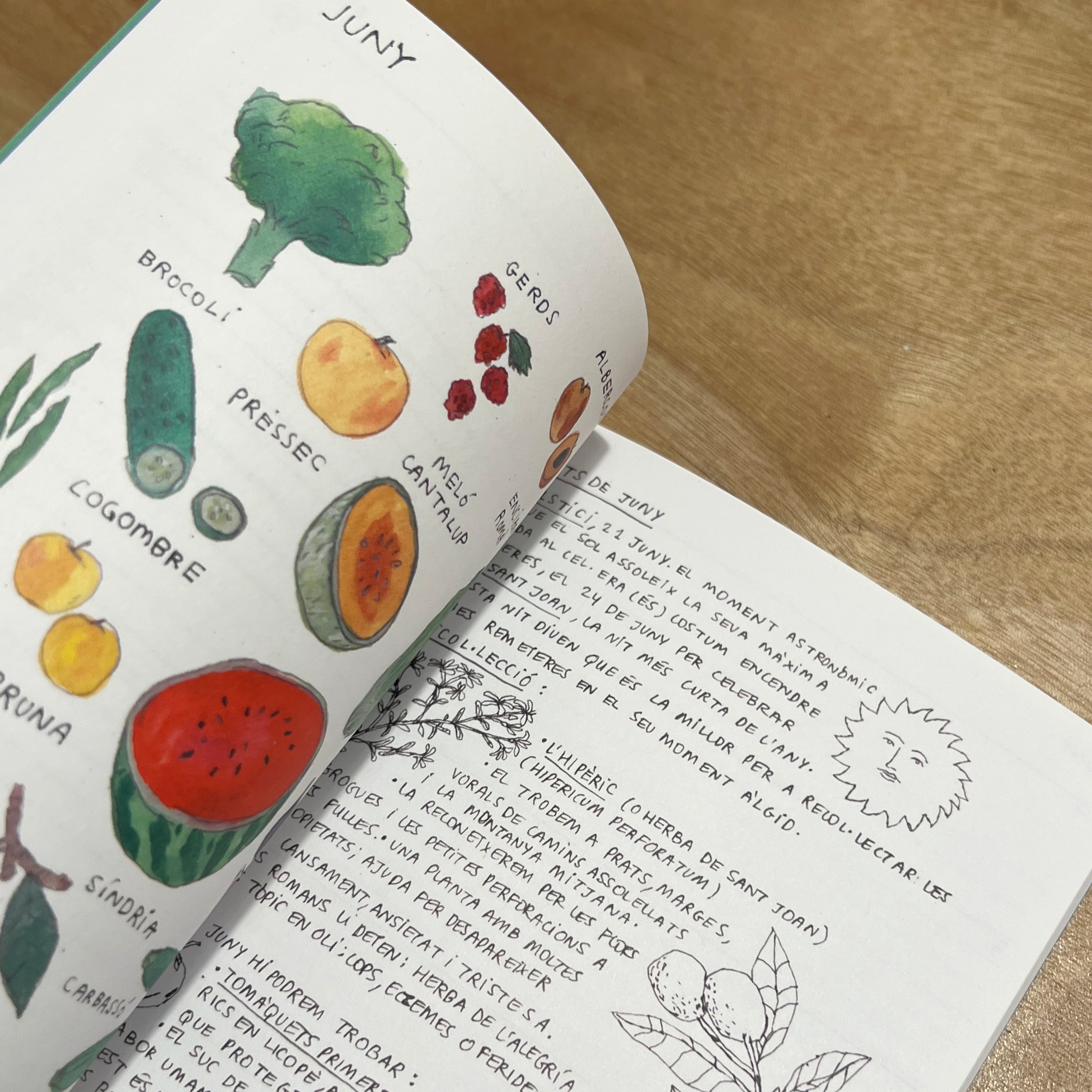 Agenda 2026 - Gala Pont