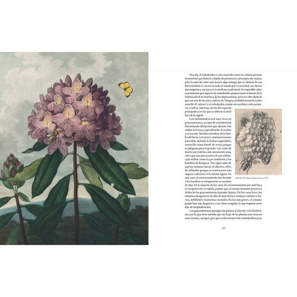 Atlas de plantas mortales