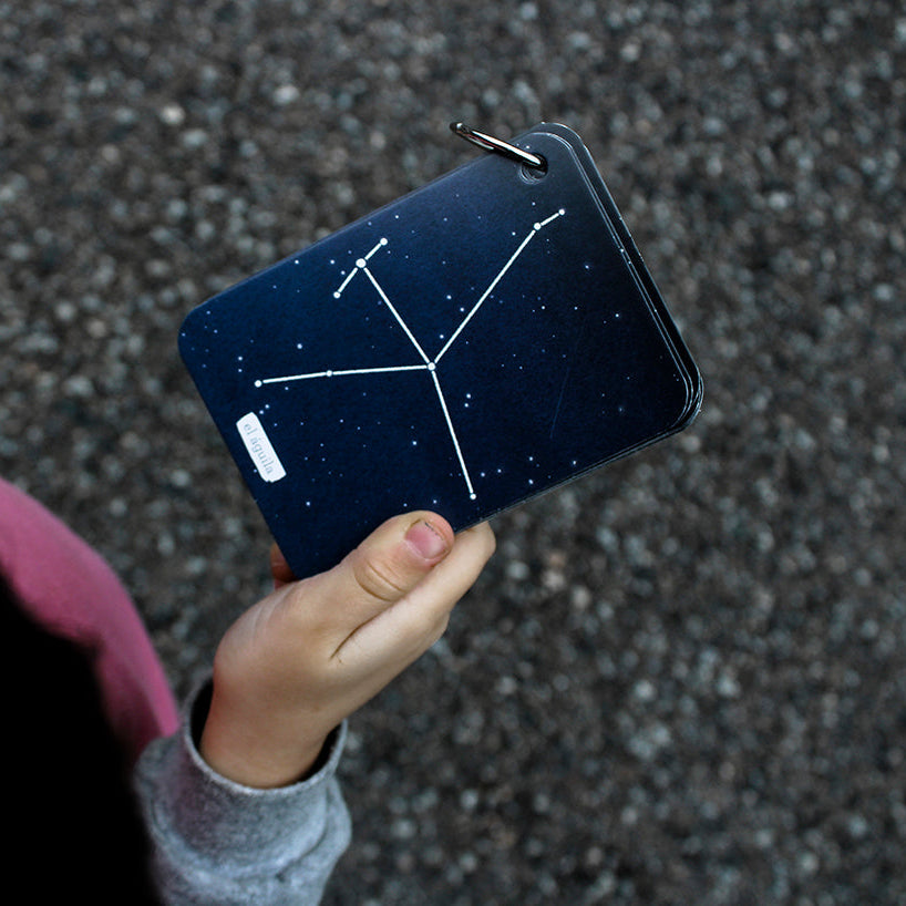 Fíjate: constelaciones del hemisferio norte