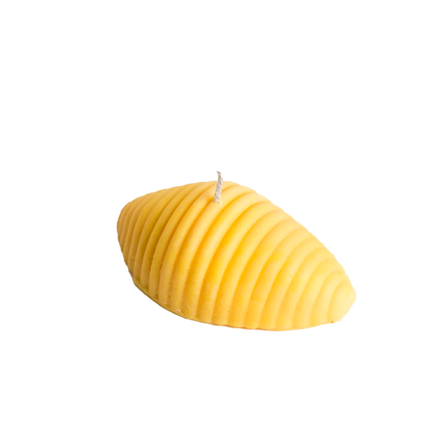 Absolute Conchiglie Candle