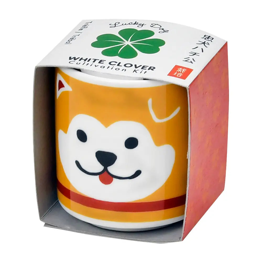 Semillas Lucky Plant