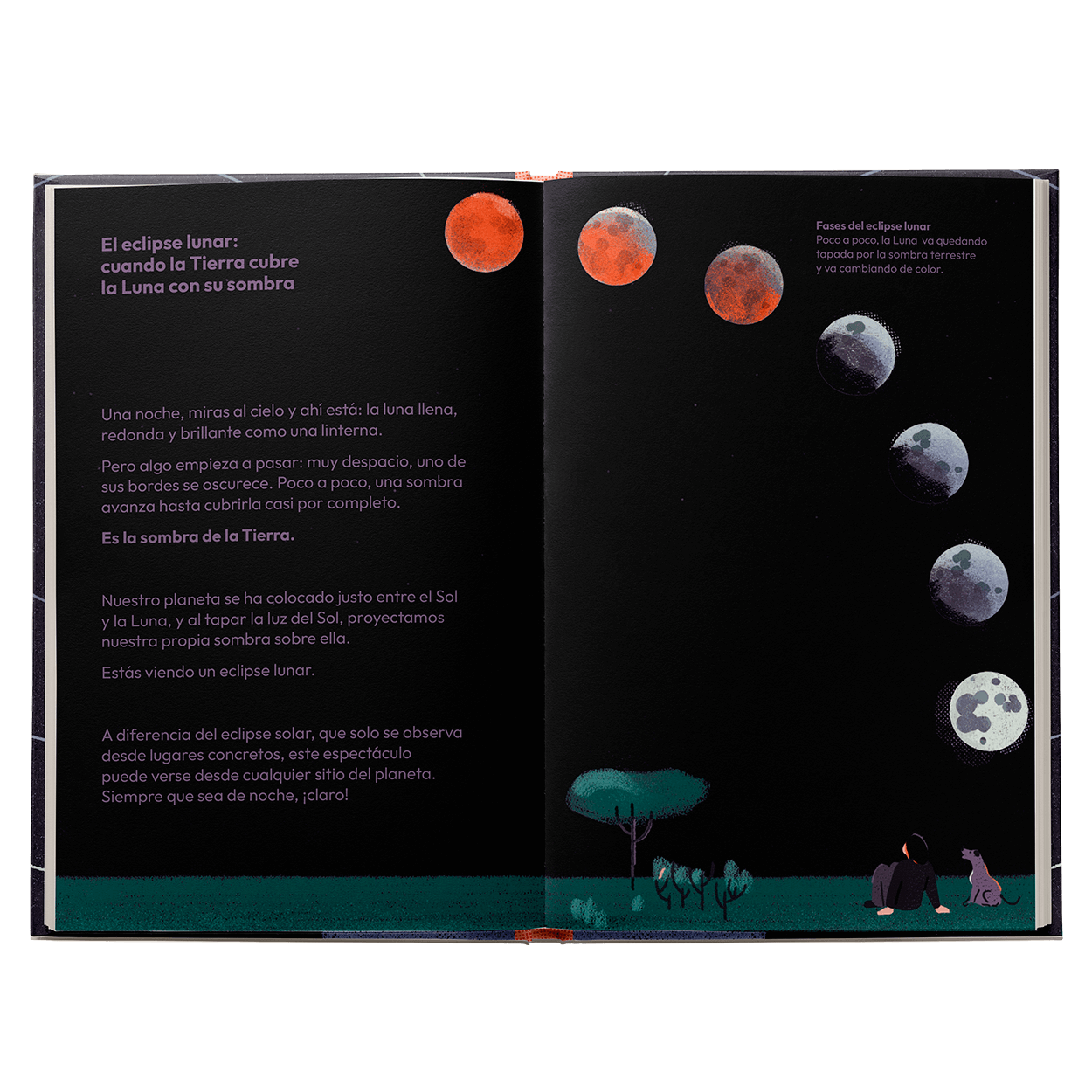 Eclipses