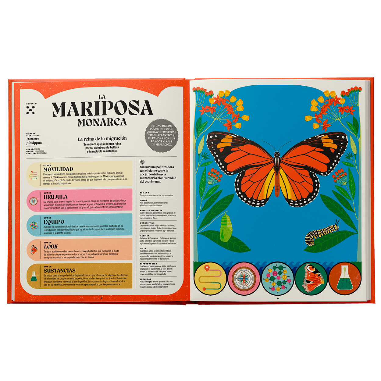 Superpoderes de los insectos