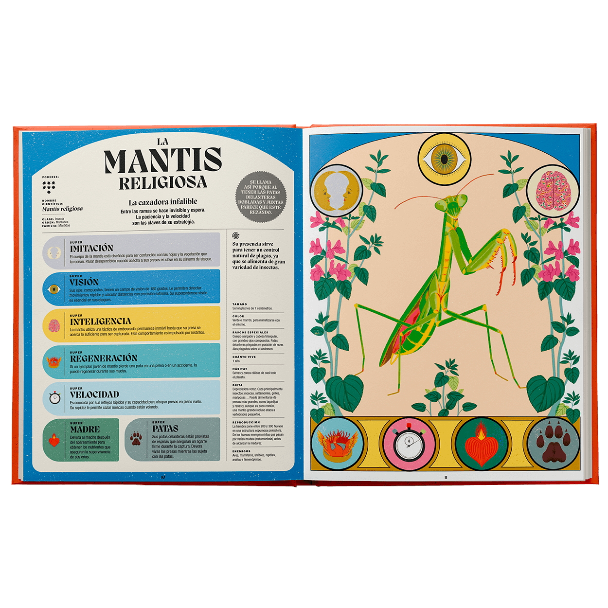 Superpoderes de los insectos