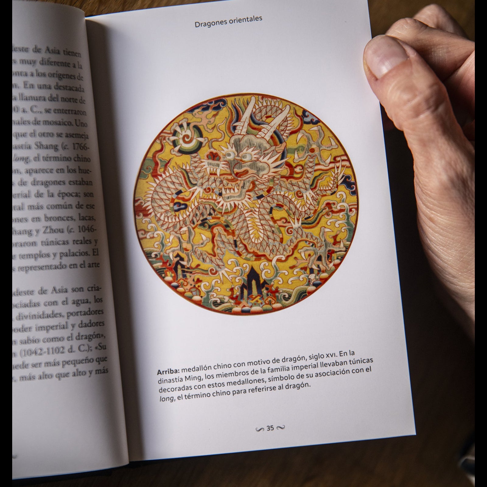 El libro secreto de los dragones