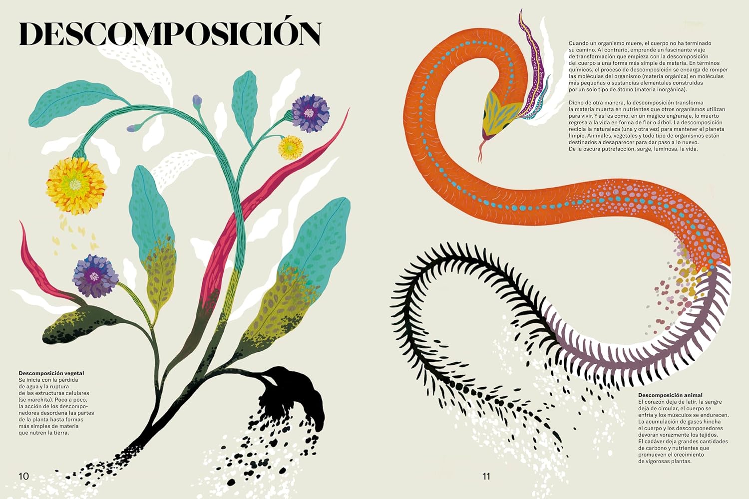 El maravilloso libro de la muerte