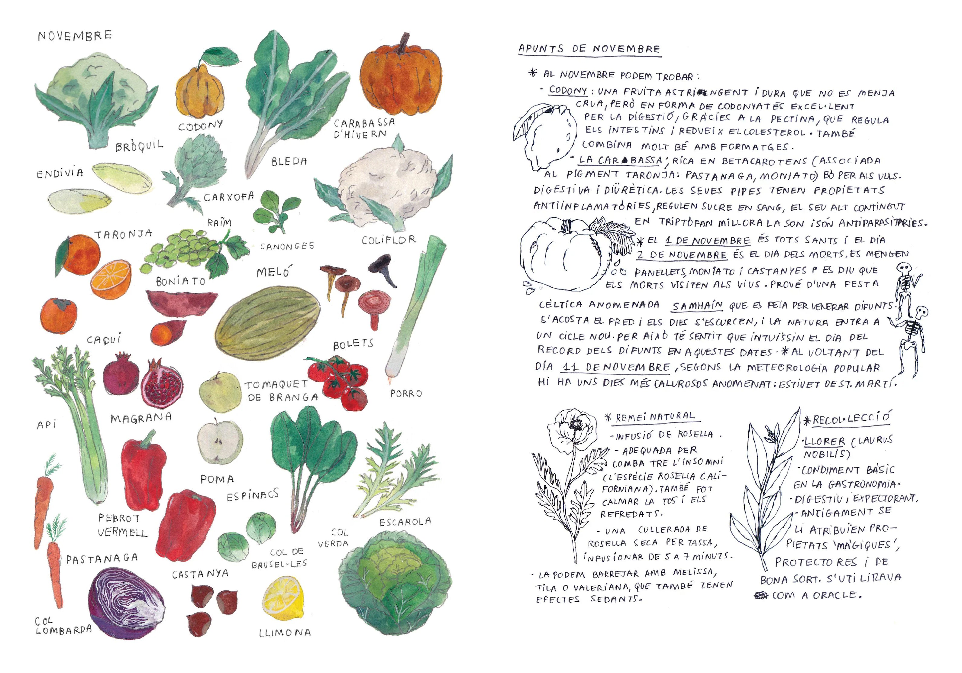 Agenda 2026 - Gala Pont