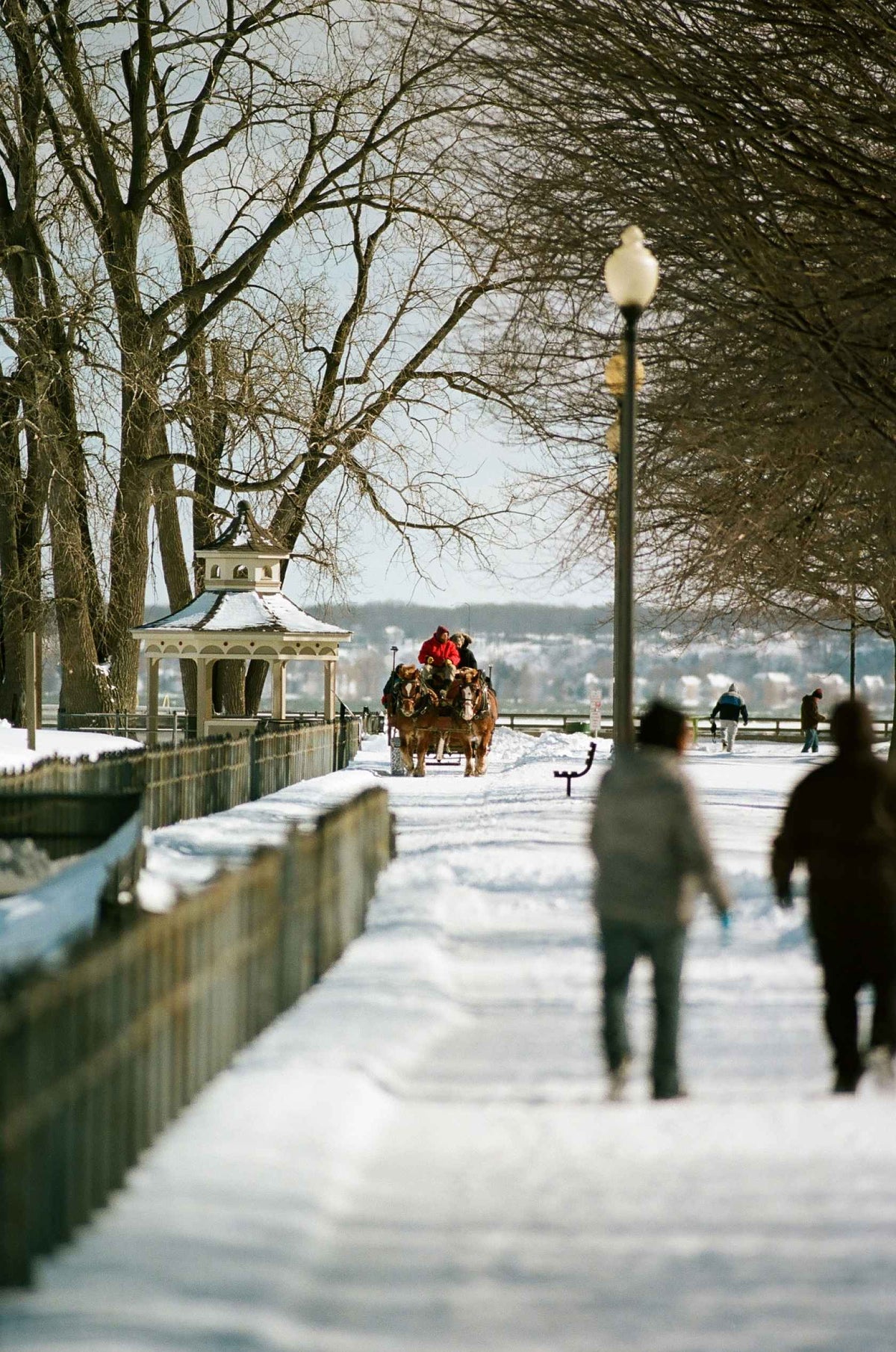 Kodak Ektacolor pro 160 - 35mm